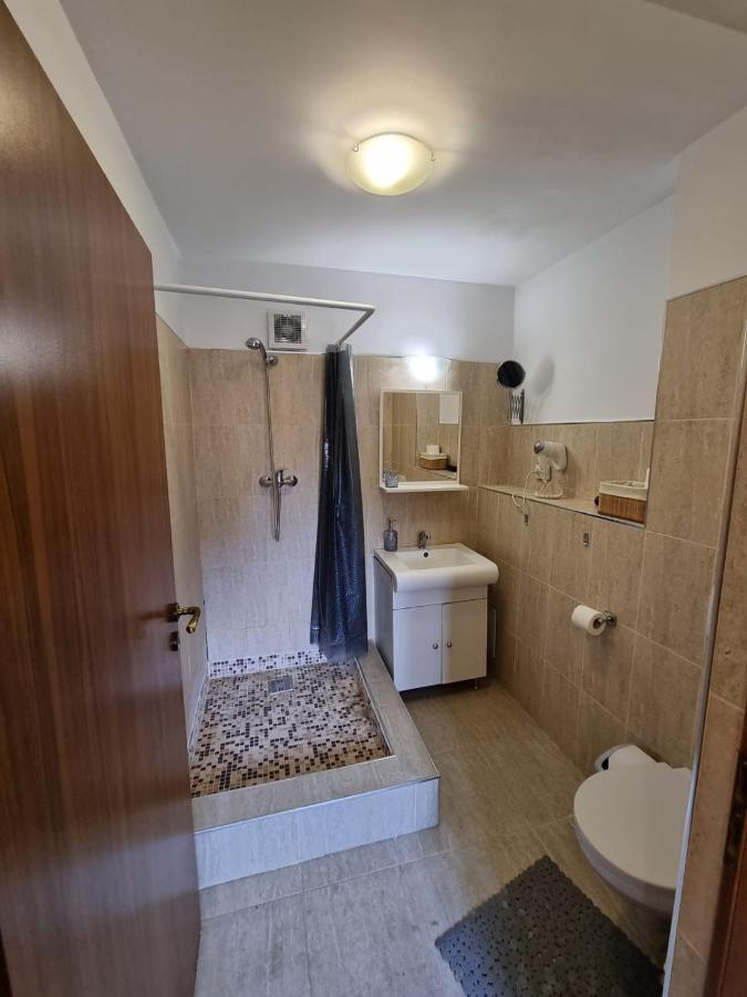Casa Romana Apartment โปลเยชต์ ภายนอก รูปภาพ